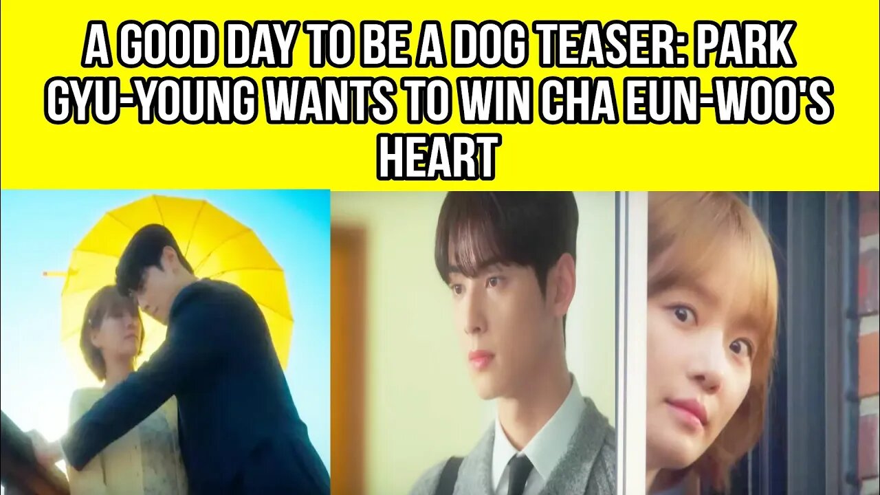 A Good Day to be a Dog teaser: Park Gyu-young wants to win Cha Eun-woo's heart