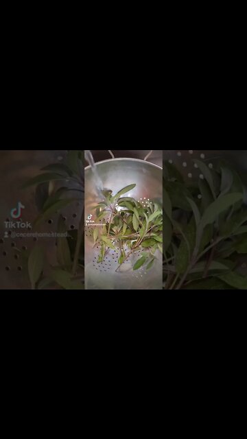 COLD Dehydrate for Great Results