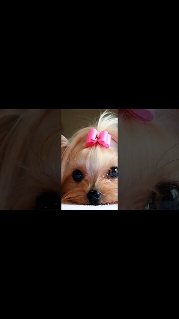 Think I got a Lil bit of #addiction #musicshorts #artist #fyp