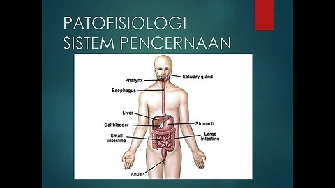PASTOPHYSIOLOGY OF THE DIGESTIVE SYSTEM (sistem pencernaan)
