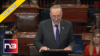 Schumer Blows Gasket On Senate Floor After Republicans Beat Him