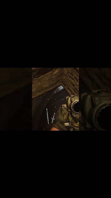 Curiosidade mat0u o gato