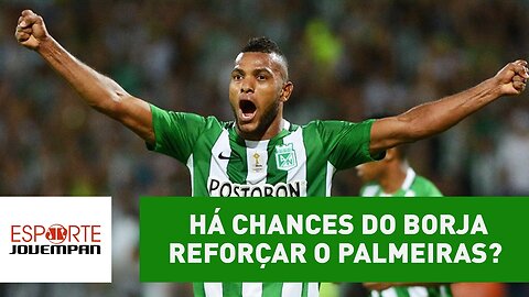 Ainda há chances de Miguel Borja reforçar o Palmeiras?