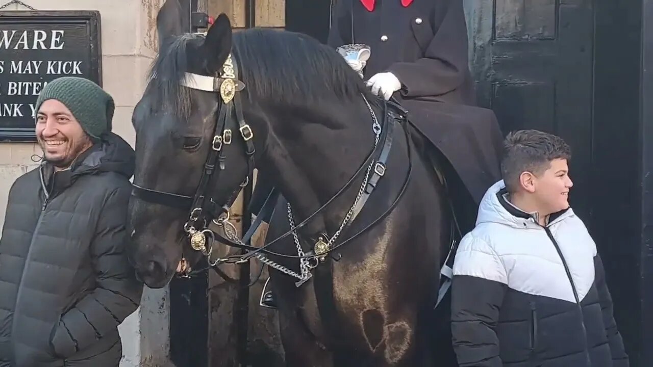 Horse is in a nippy mood #horseguardsparade