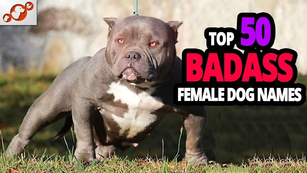 TOP 50 Badass Dog Names