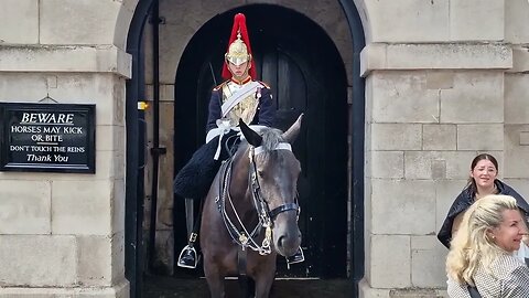 don't touch the kings guard #thekingsguard