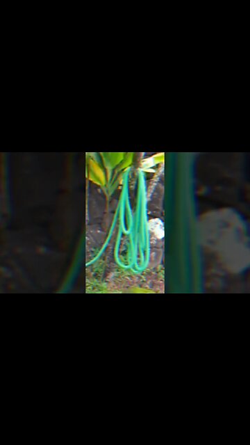 NÃO COMPRE a mangueira de jardim