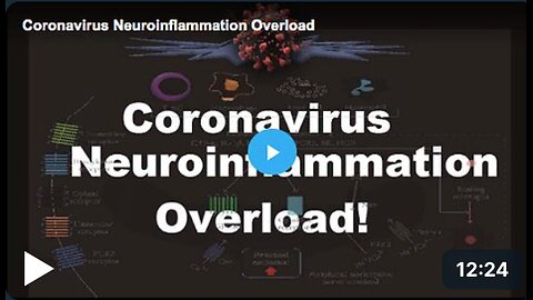 Coronavirus Neuroinflammation Overload