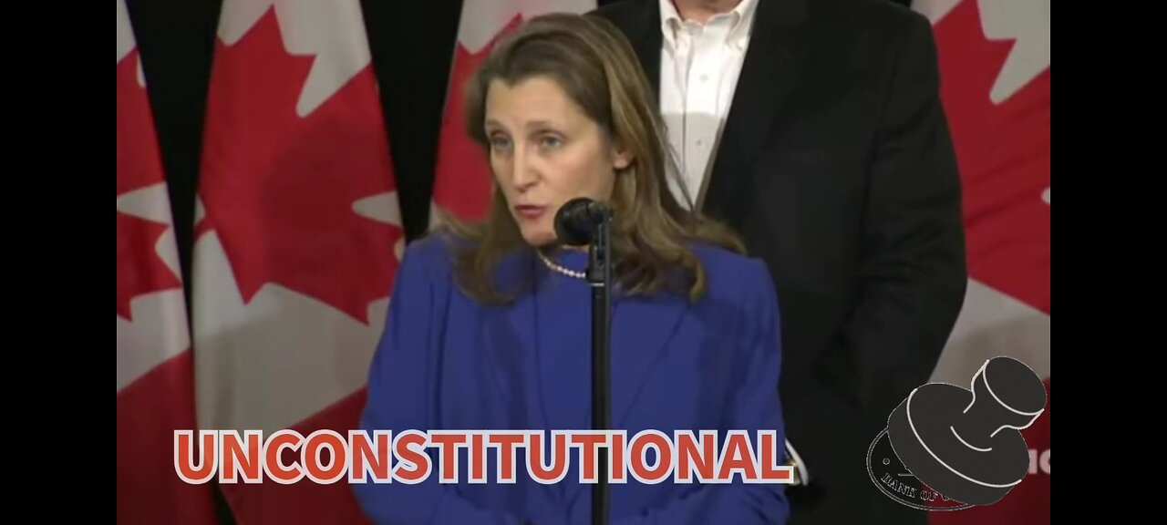 The Canadian Nazi Party tries to Defend Unconditional Ruling...🤦♂️