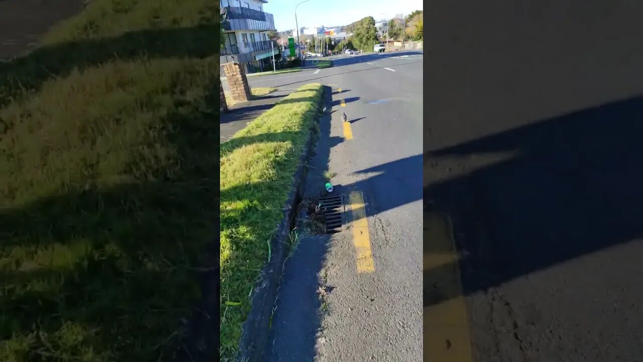 Henderson on Sunday morning.