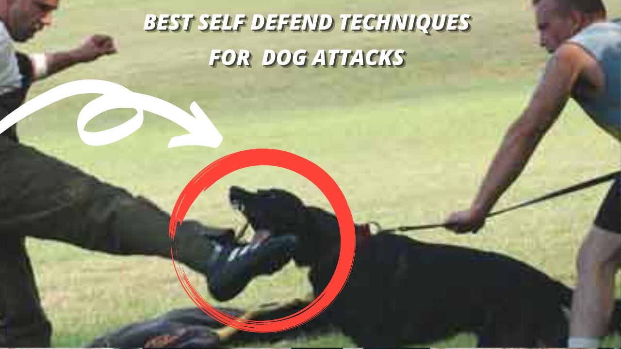 Best ways of Self defense against dog attack