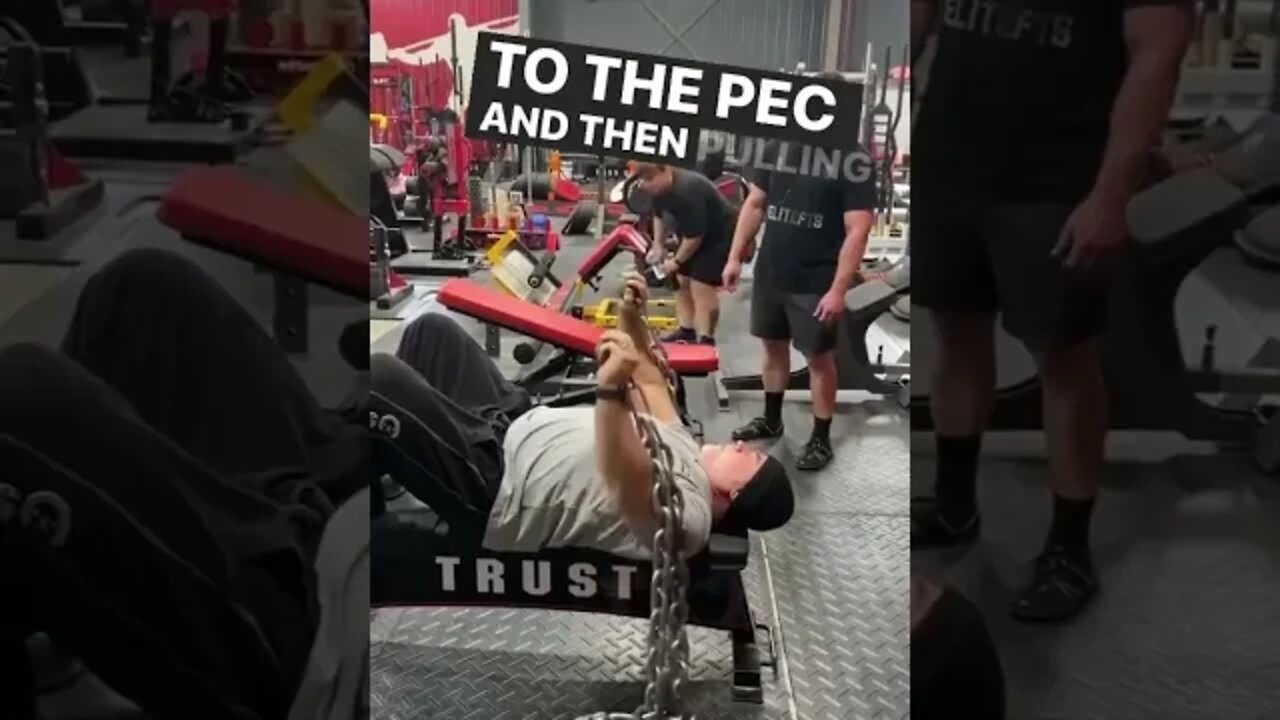 BUILD HUGE PECS W/ JUST CHAINS⛓️💀