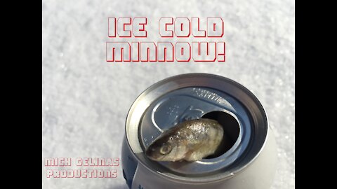 Ice Cold Minnow