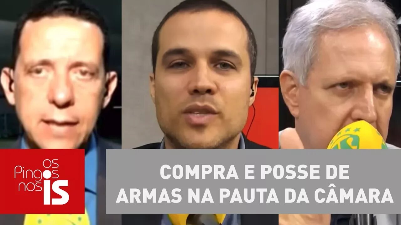 Debate: Compra e posse de armas na pauta da Câmara