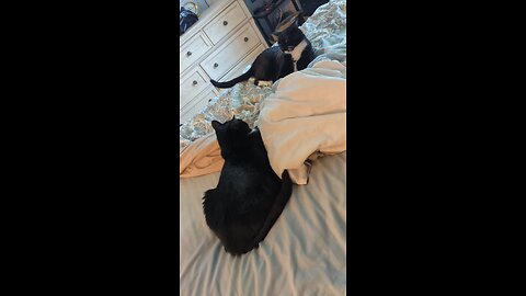 Double Trouble