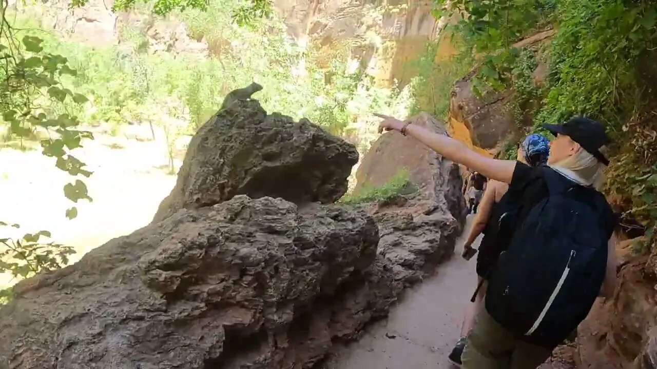 Zion National Park | The Narrows