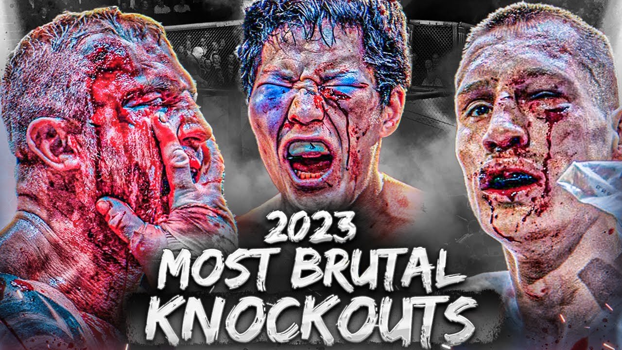 Most Brutal Knockouts From 2023 - MMA, Boxing, Kickboxing & Bare Knuckle