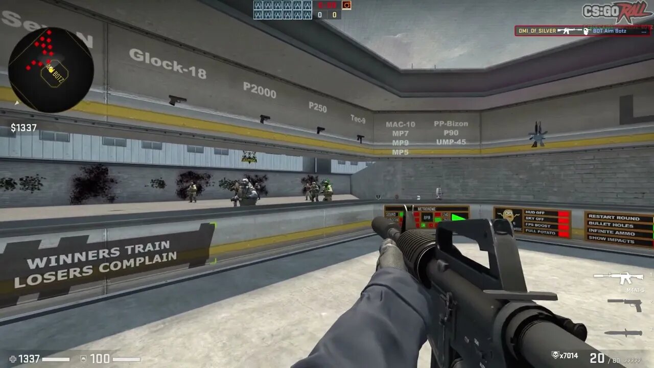 10000 bot shooting practice