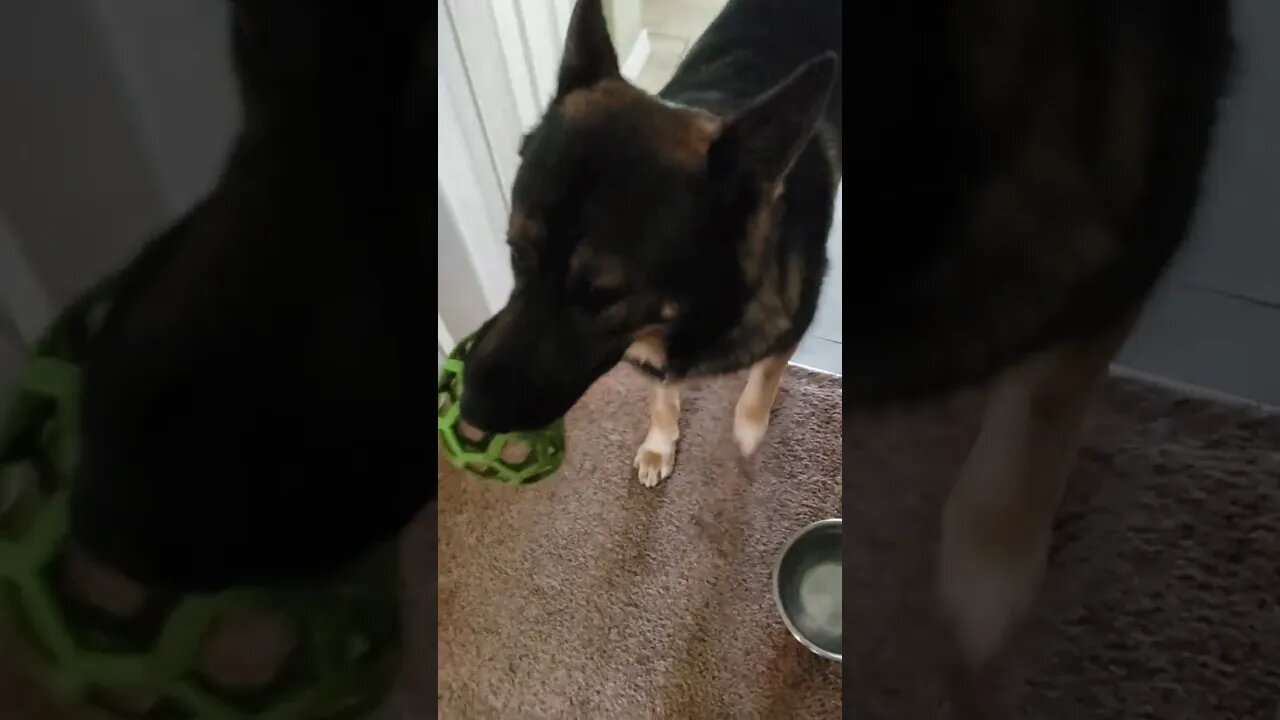 032223 Nitro, Ragnar and Wed