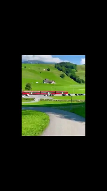 Trip, Travel, Viagem,Férias, Vacaciones, Vacacion, Urlaub, Beauryfull, Love, Amazing, Field, Flowers