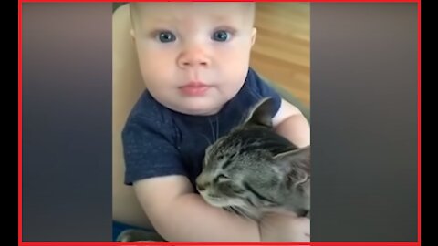 CATS PLAYING WITH LITTLE CHILDREN - FUNNY COMPILATION