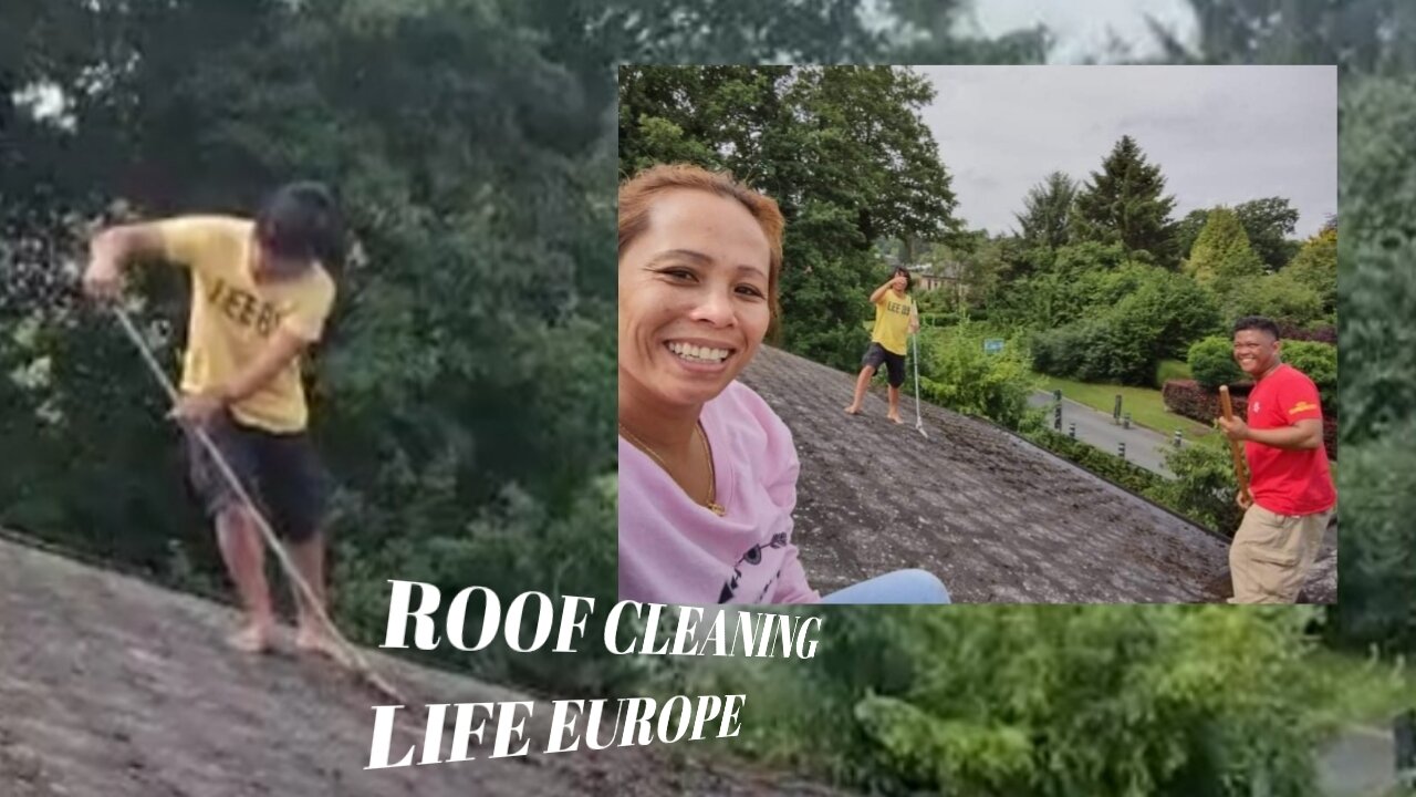 Life Europe Cleaning Roof