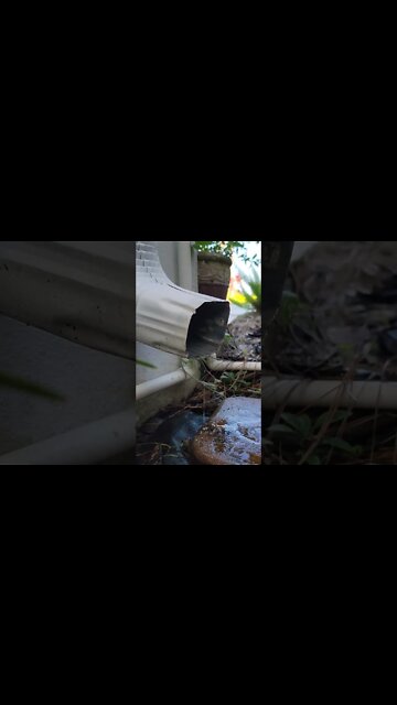 Notice anything strange?