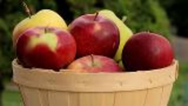 Kid-Friendly Apple Dip Recipes