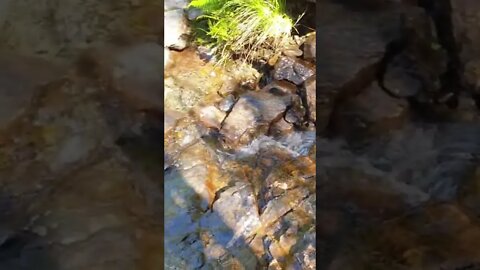 Steall waterfall path stream Scotland