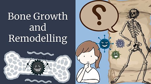 Bone Growth and Remodeling of Bones | Novice Medic