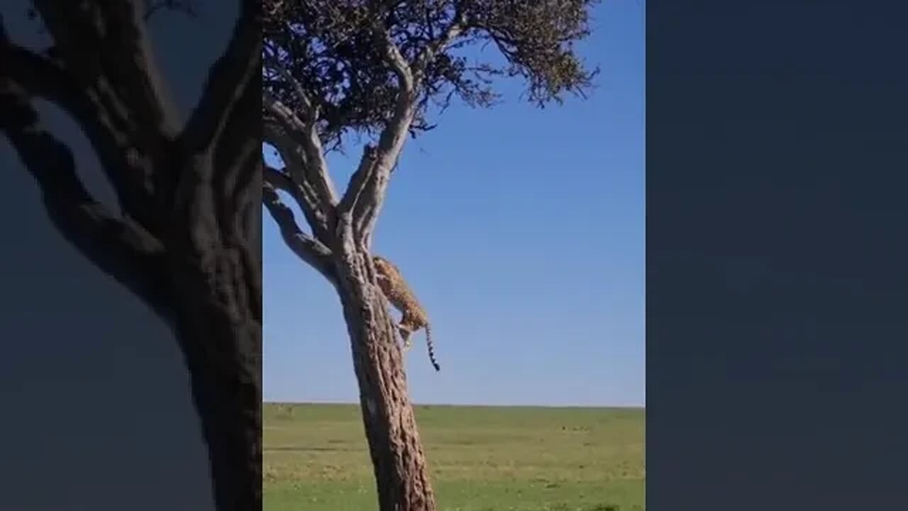 Reach higher in 2023