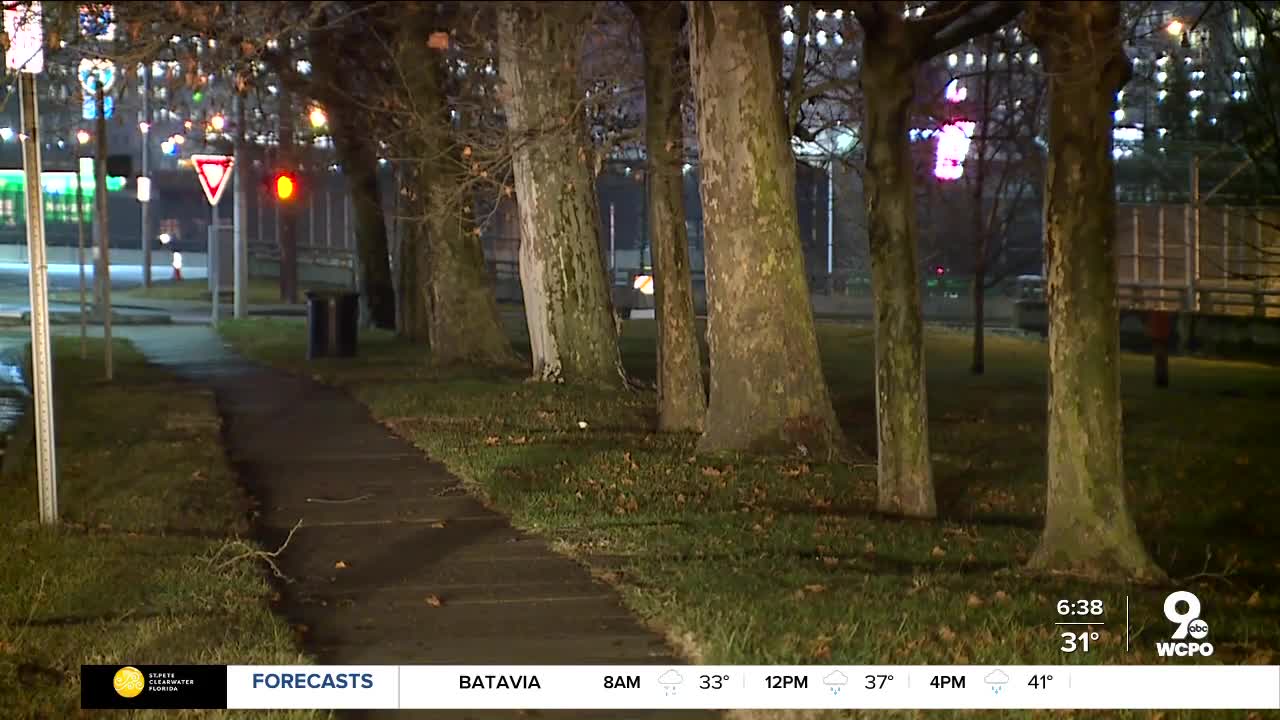 Walnut Hills park to get a facelift