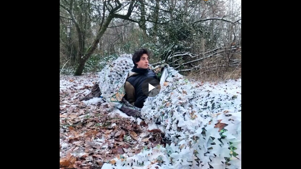 This is how a wildlife photographer has to act.