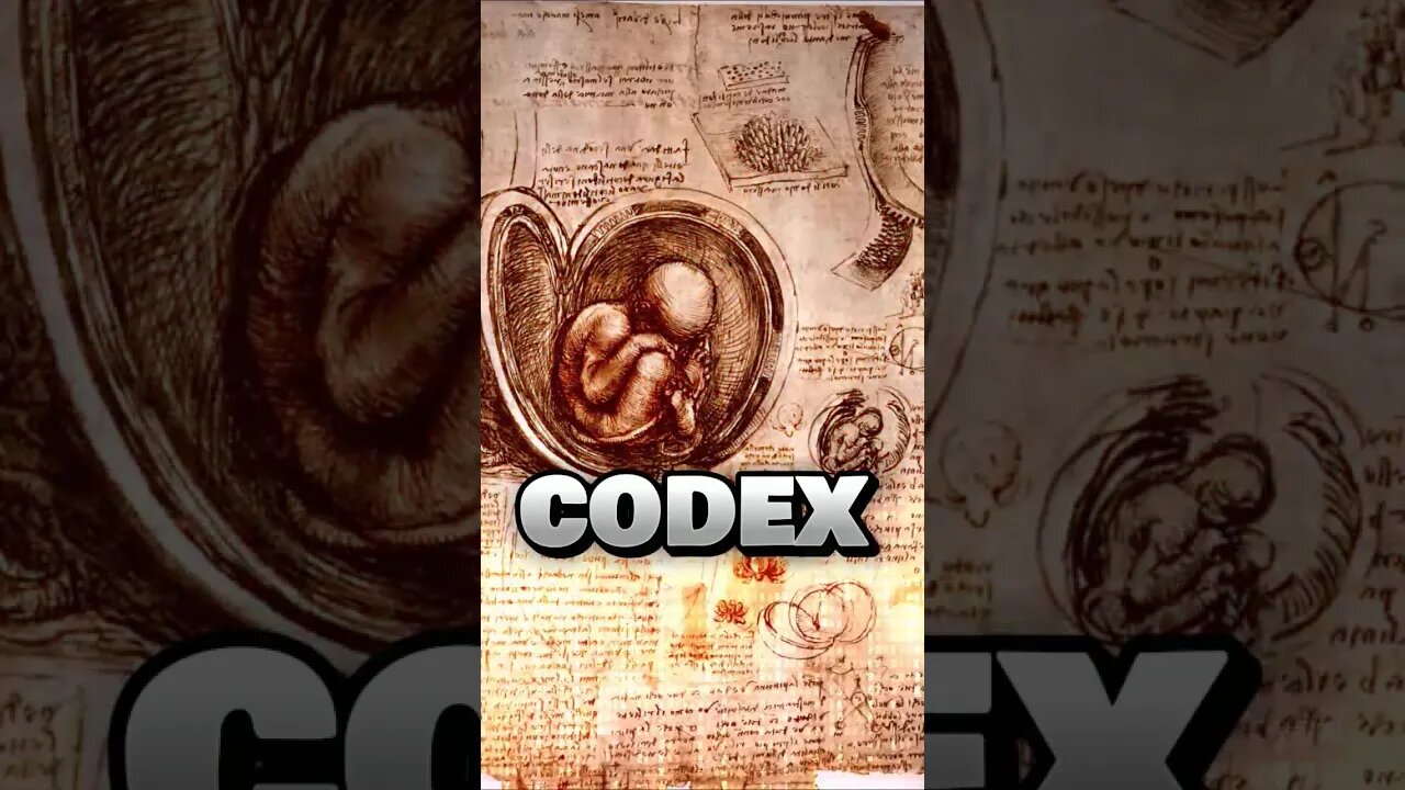 •• MANUSCRITO DE #davinci ••