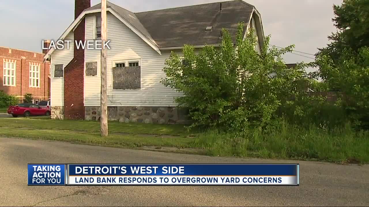 Land Bank responds to overgrown yard concerns