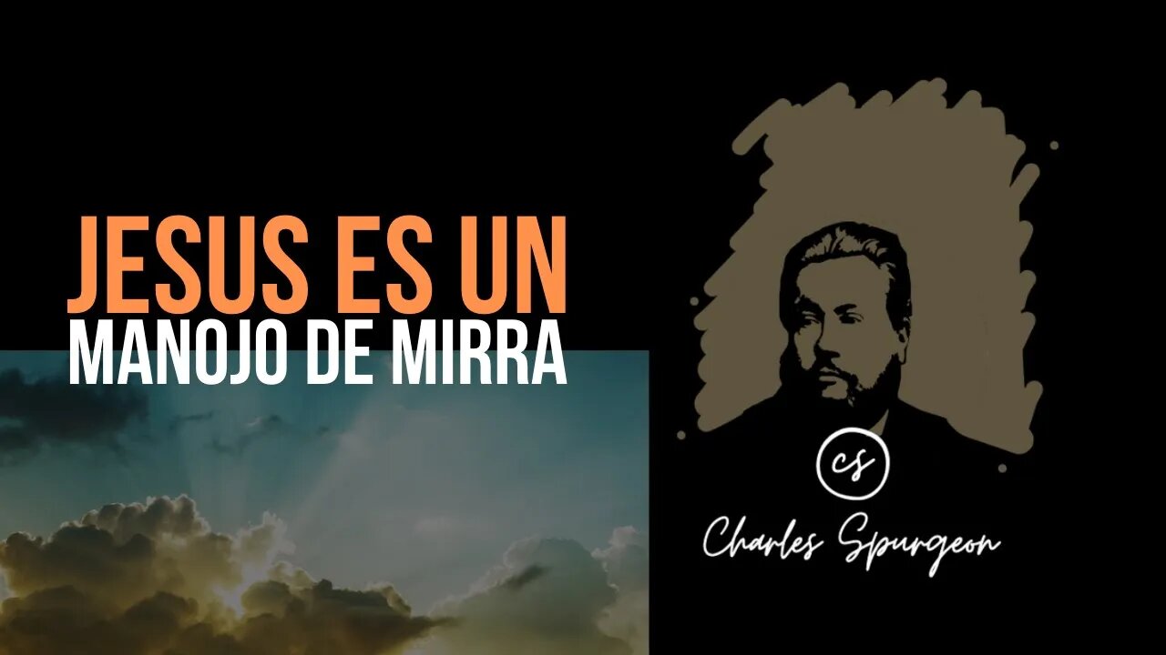 Jesús es un manojo de mirra (Cantares 1:13) Devocional de hoy Charles Spurgeon