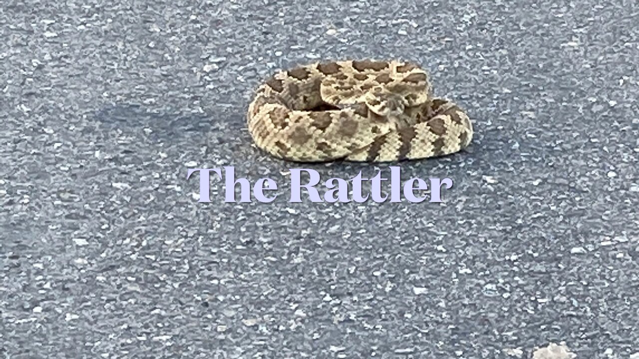 The Rattler