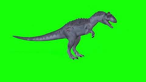 Green Screen animal collection overlay Free Footage | FREE DOWNLOAD