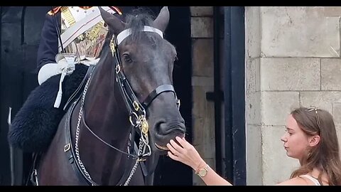 tickle my nose #horseguardsparade