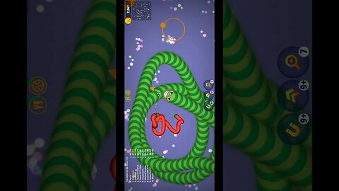 Shorts CASUAL AZUR GAMES Worms Zone .io - Hungry Snake 71-220