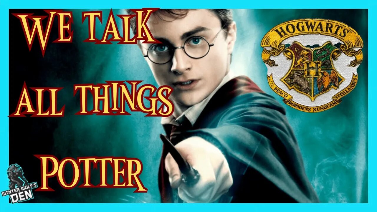 The Potterverse 20 Years Later