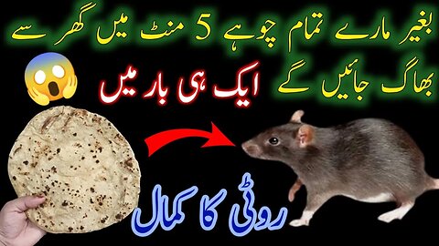 Chuhe bhagane ka sabse asaan tarika | Totka,Wazifa,Upay | Gharelu Nuskhe | Rat Killer