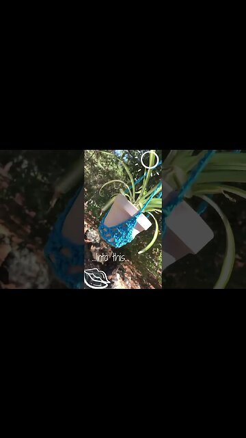 Easy Crochet Plant Holder: Budget-Friendly Beauty in Blue!