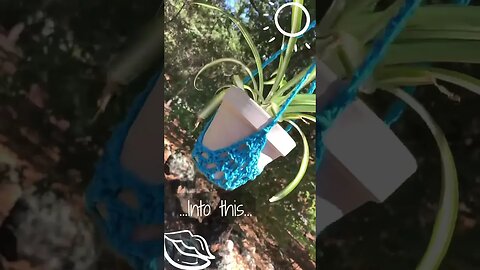 Easy Crochet Plant Holder: Budget-Friendly Beauty in Blue!