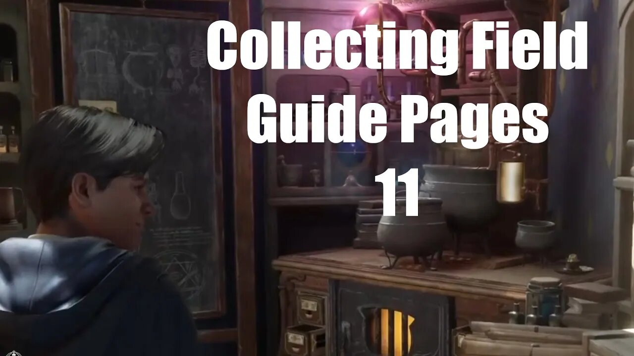 Hogwarts Legacy Collecting Field Guide Pages 11 (J Pippin's Potions)