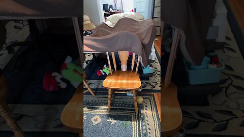Did you ever build a FORT as a kid? 👷👷‍♀️🥳