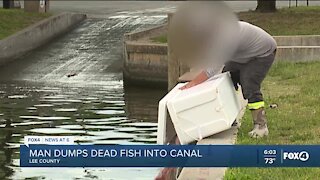 Fox 4 catches guy dumping dead fish into a neighborhood canal, but is it legal? We found out