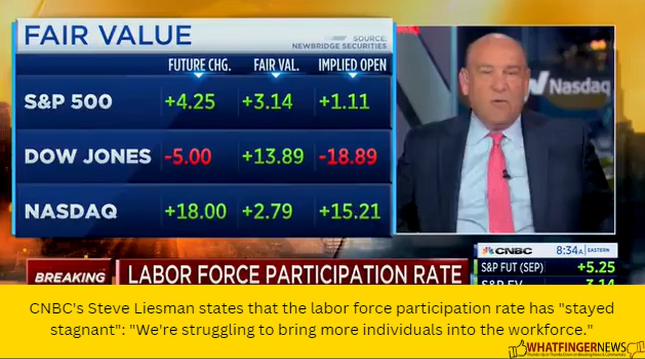 CNBC's Steve Liesman states that the labor force participation rate has "stayed stagnant"