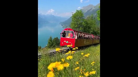 #Switzerland ❤️#naturalbeauty #beautyofswitzerland #shortsvideo2023 #plslikesubscribe 🌲