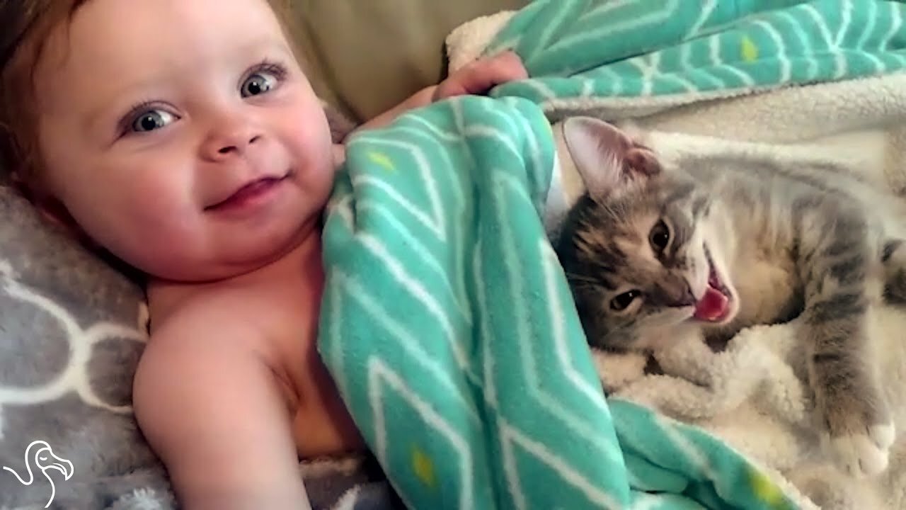 Baby Can’t Stop Petting His Little Kitten